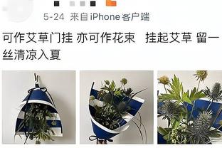 格雷泽家族给曼联员工发邮件，要求员工社媒避谈俱乐部管理层变动